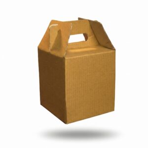 Cardboard Carry Boxes